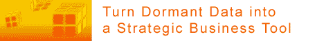IDC Business Intelligence Roadshow 2003