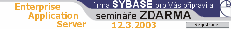 Semine Sybase