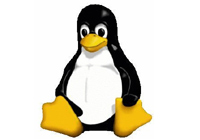 Linux_penguin_619.jpg