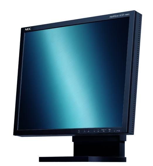 NEC_LCD19palcu.JPG