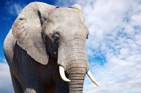 Hadoop: zkladn nedostatky vyeeny