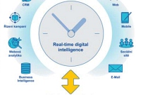 Real-time digital intelligence