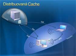 Branch Cache - distribuovan