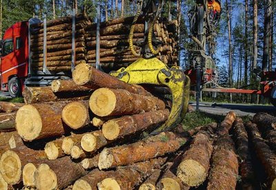 K�rovec a Pr�mysl 4.0?