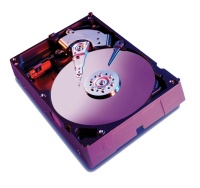 Vysokokapacitn disky serverov tdy WD 320 GB