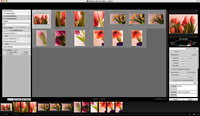 Beta Lightroom 3.0 pro Macintosh je k dispozici