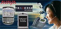 Avaya kupuje Traverse Networks