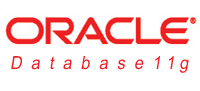 Oracle uvd databzi Oracle Database 11g