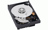 750GB pevn disky Western Digital pro servery