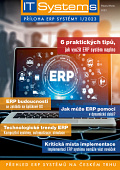 ERP systémy I