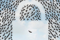 P�t d�vod� pro zm�nu p��stupu k bezpe�nosti