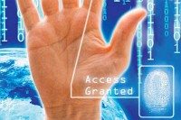 Principy ��zen� identit