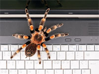 Principy ochrany digit�ln� identity