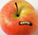 Mal� pr�vodce sv�tem exploit�