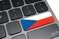 Specifika ��zen� IT ve ve�ejn�m a st�tn�m sektoru