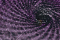 �skal� zav�d�n� metodiky ��zen� v�voje softwaru